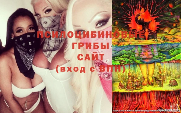 мдпв Алагир