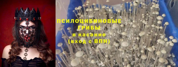 хмурый Алапаевск
