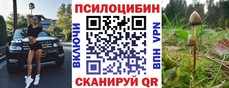 купить  цена  Берёзовский  Галлюциногенные грибы мицелий 